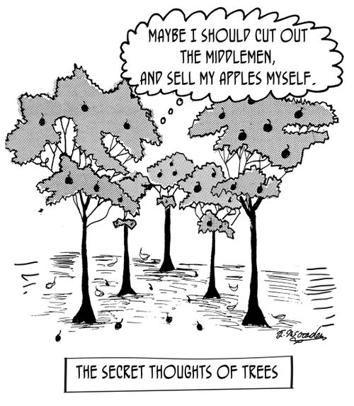 The Secret Thoughts of Trees