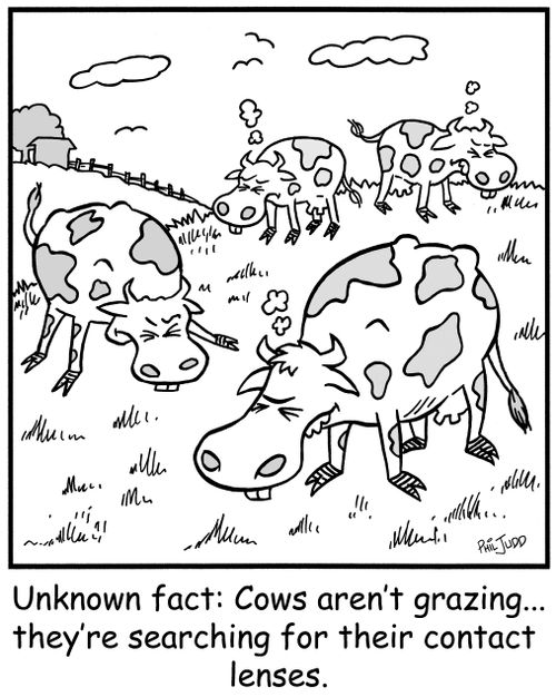 'Unknown fact: Cows aren't grazing...they're searching for their contact lenses.'