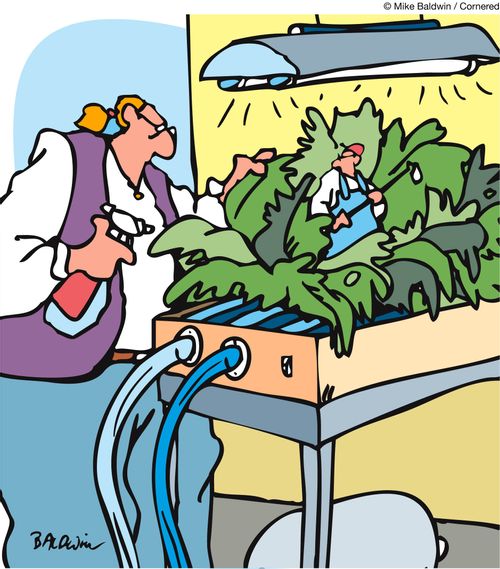 Hydroponic Gardening