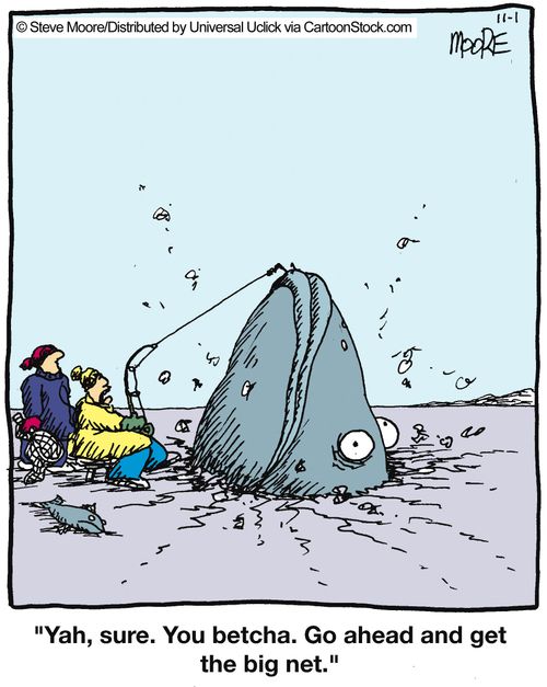 'Yah, sure. You betcha. Go ahead and get the big net.'