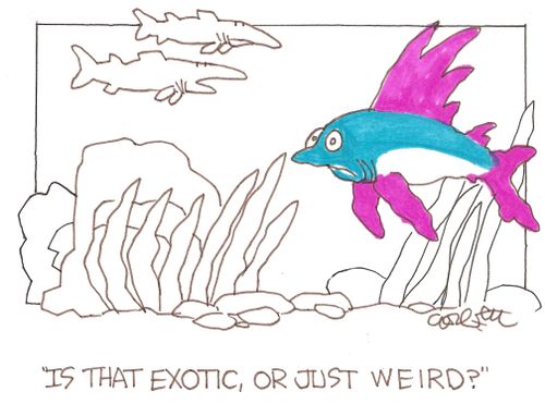 'Is that exotic, or just weird?'