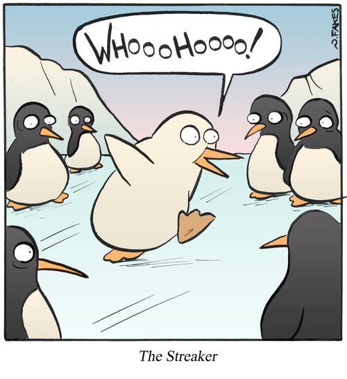 The Streaker