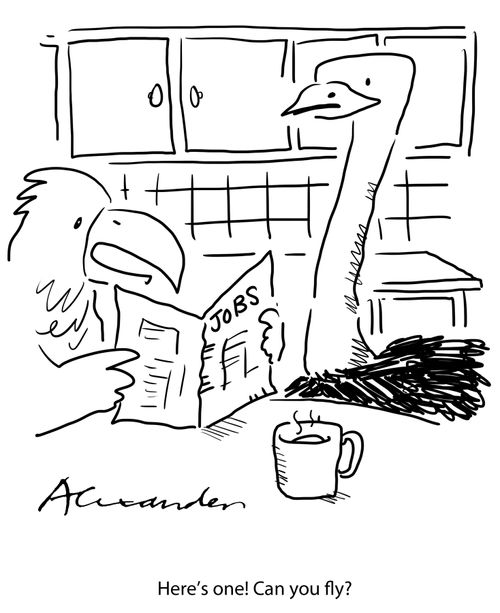 'Here's one! Can you fly?'