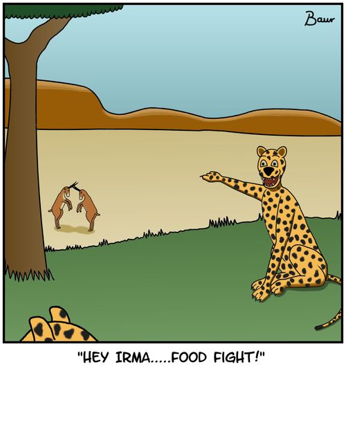 'Hey Irma....food fight!'