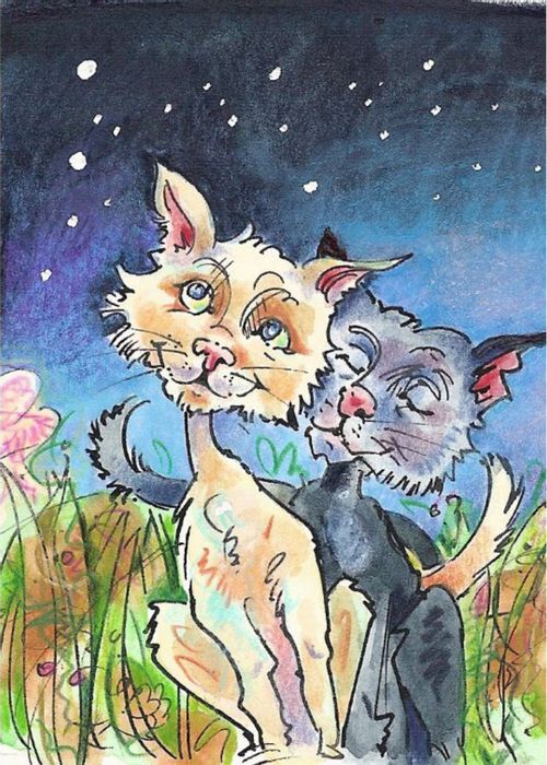 Summer Romance.