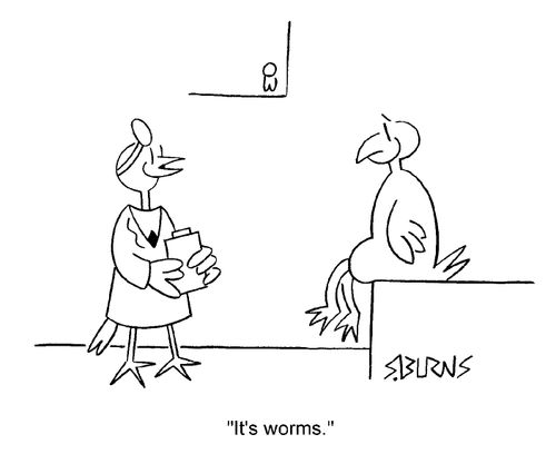 Bird Doctor telling bird patient he has worms
