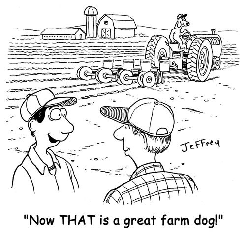 "Now THAT is a great farm dog!"