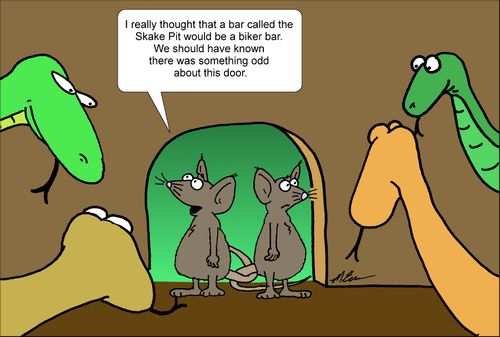 'I really thought that a biker bar called the Snake Pit would be a biker bar....'