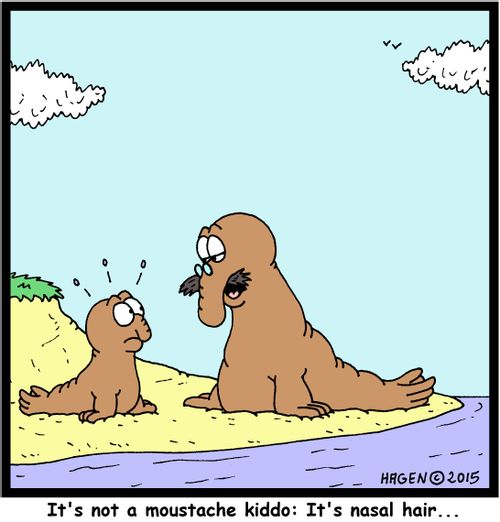 "It's not a moustache kiddo: It's nasal hair..."