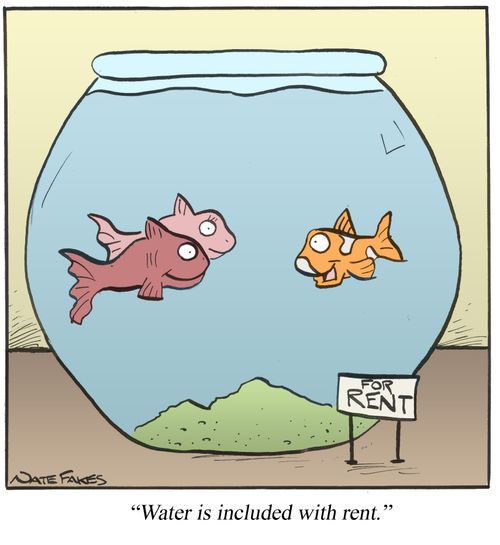 'Water is included with rent.'