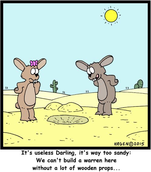 "It's useless Darling, it's way too sandy: We can't build a warren here without a lot of wooden props..."