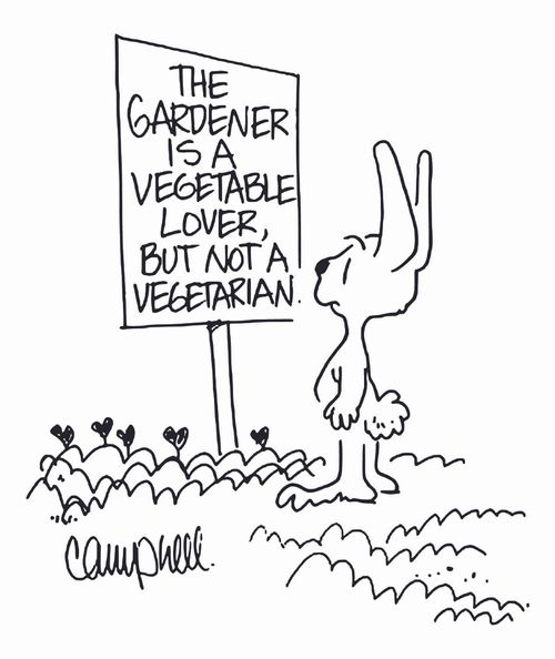 The gardener is a vegetable lover but not a vegetarian.