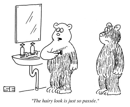 'The hairy look is just so passe.'