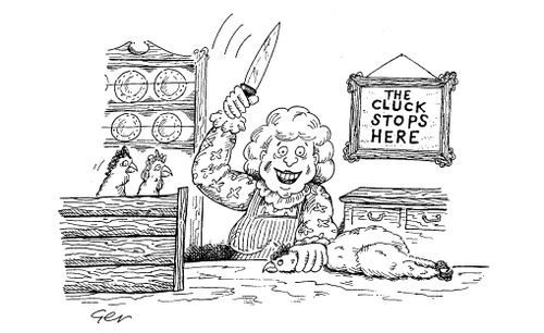 The cluck stops here.  (Woman killing chicken).