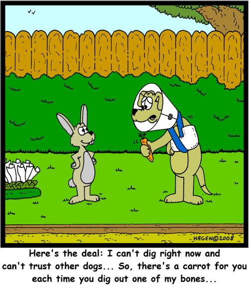 'Here's the deal: I can't dig right now and can't trust other dogs... So, there's a carrot for you each time you dig out one of my bones...'