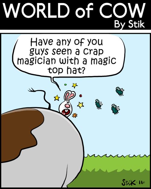 'Have any of you guys seen a crap magician with a magic top hat?'