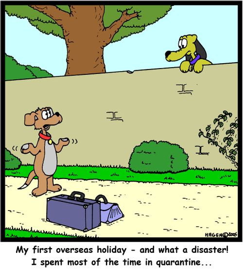My first overseas holiday - and what a disaster! I spent most of the time in quarantine...