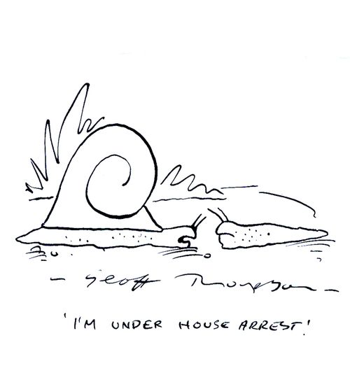 'I'm under house arrest.'