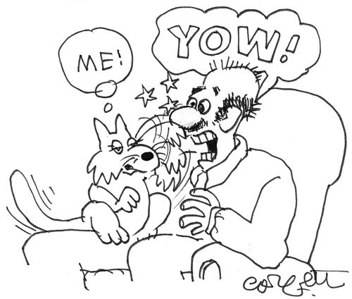 Cat swats man; 'ME...YOW!'