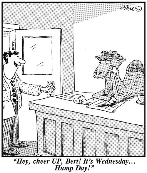 'Hey, cheer UP, Bert! It's Wednesday... Hump Day!'