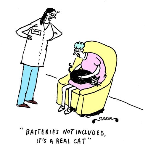 'Batteries not included, it's a real cat.'