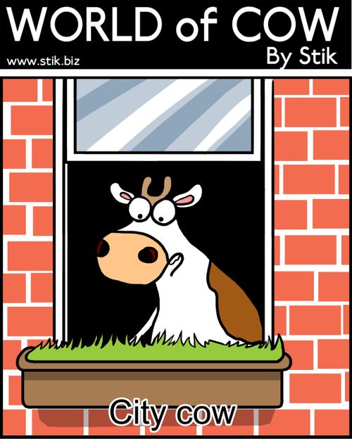 City Cow growing grass in a window box.