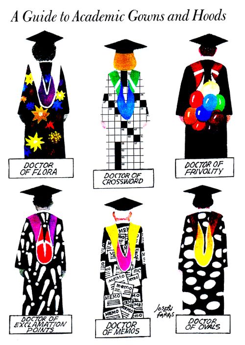 A Guide to Academic Gowns and Hoods