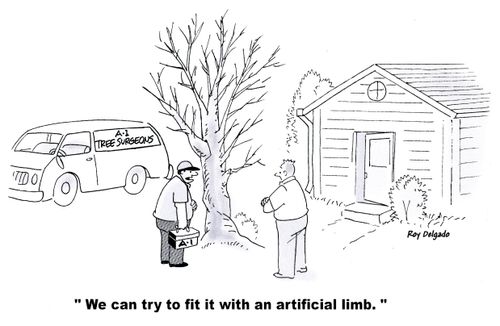 'We can try to fit it with an artificial limb.'