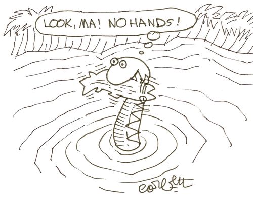 'Look, Ma!  No hands!'