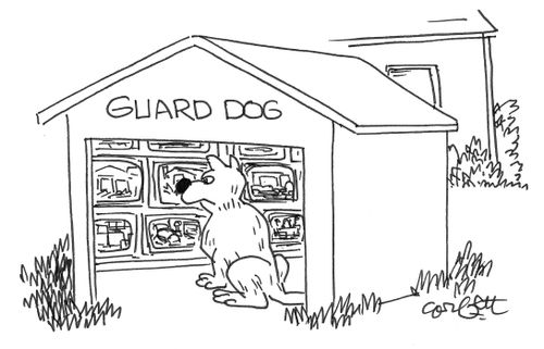 Guard dog monitors TVs.