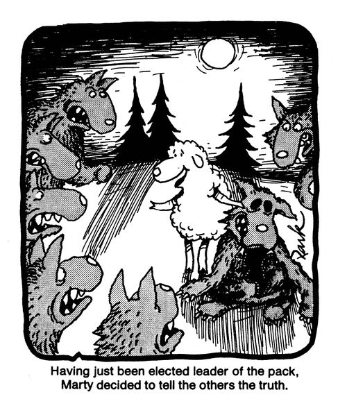 Having just been elected leader of the pack, Marty decided to tell the others the truth.