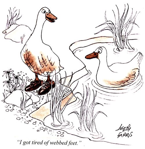 "I got tired of webbed feet."
