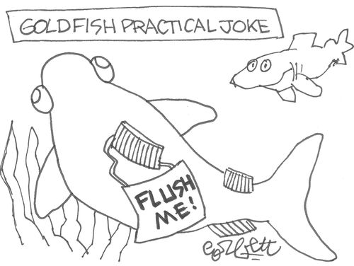 Goldfish Practical Joke: 'Flush me!'