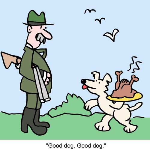 "Good dog. Good dog."