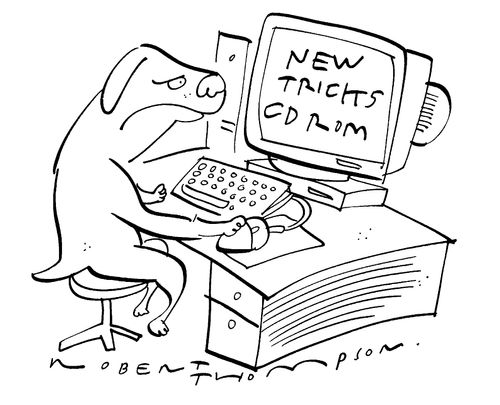 "New tricks CD Rom"