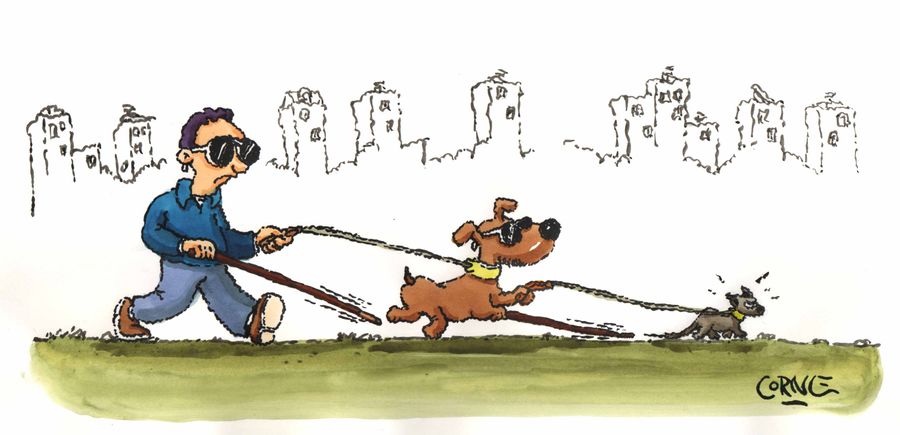 Blindman's blind guide dog with its own guide animal