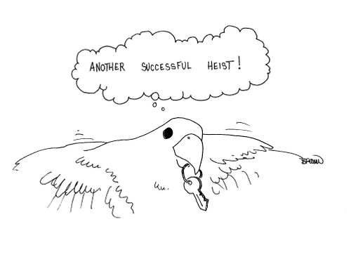 'Another successful heist!'