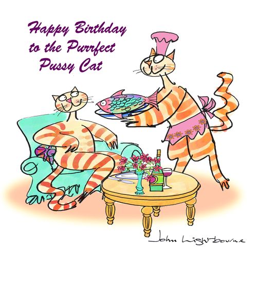 Happy birthday to the purrfect pussy cat.