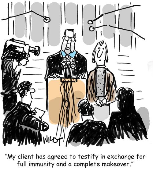 My client has agreed to testify in exchange for full immunity and a complete makeover.