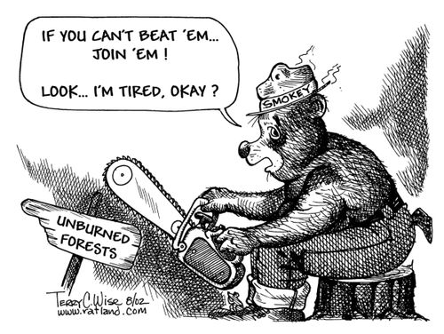 Smokey gives up - 'If you can't beat 'em, join 'em.....look I'm tired OK?'