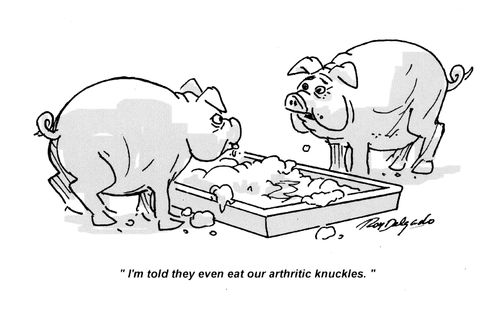 'I'm told they even eat our arthritic knuckles.'