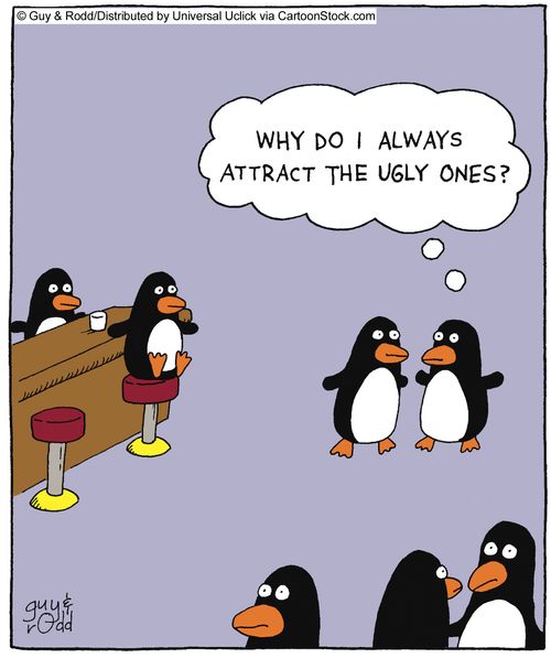 'Why do I always attract the ugly ones'