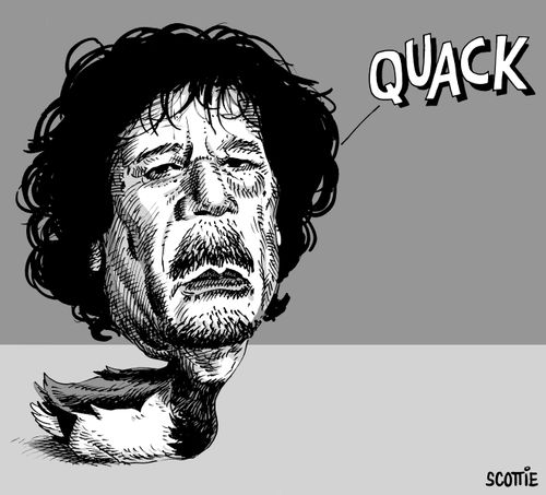'QUACK.'