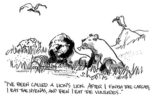 'I've been called a lion's lion.  After I finish the carcass, I eat the hyenas, and then I eat the vultures.'