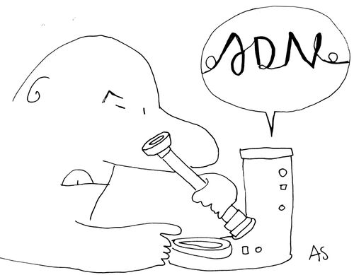 'ADN'