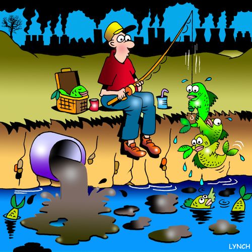 Fish want out of polluted river.