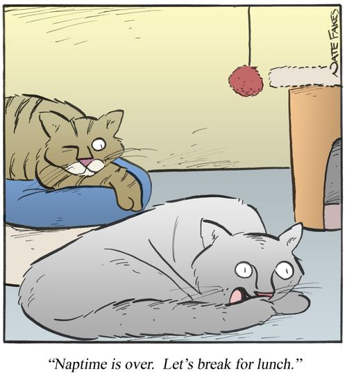 'Naptime is over. Let's break for lunch.'