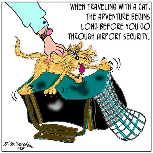 When traveling with a cat, the adventure begins long before you go through airport security.