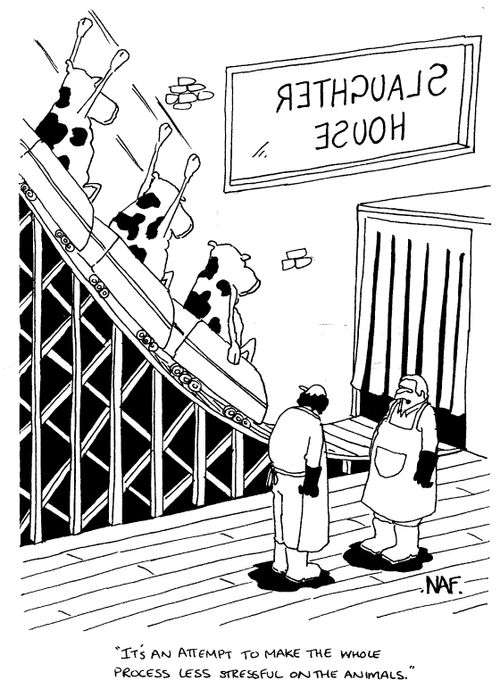 "It's an attempt to make the whole process less stressful on the animals."