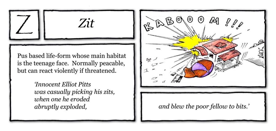 Zit: Pus based life-form whose main habitat is the teenage face. Normally peaceable, but he can react violently if threatened.